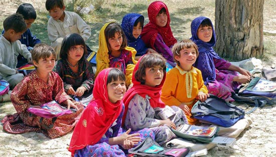 一键故障转移的信息轰炸在线使用免费